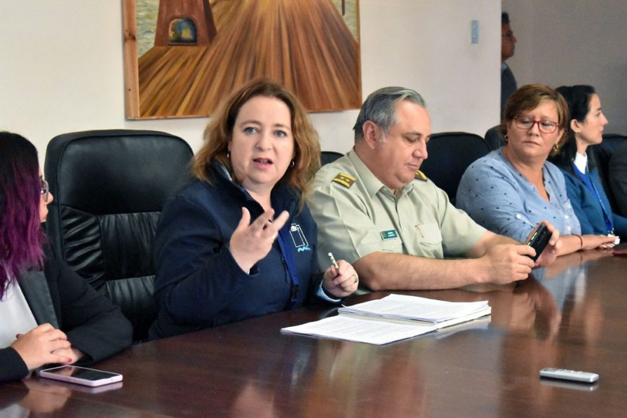 Karen Behrens, Delegada Presidencial Regional y paro de camioneros:<br>“No hay fundamento para que estas manifestaciones continúen”