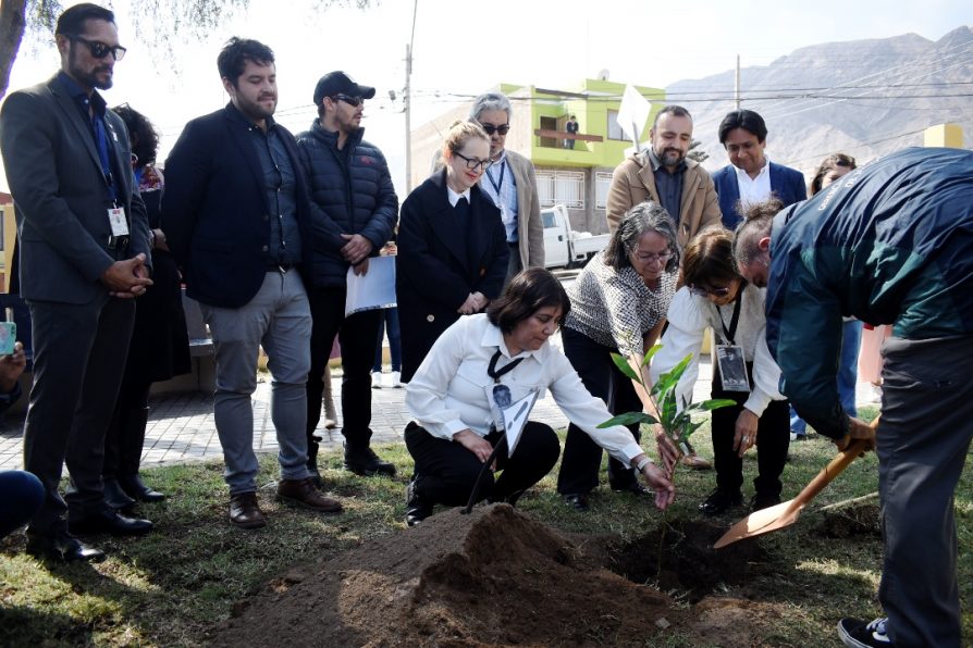 Autoridades regionales y agrupaciones de Memoria lanzan “Árboles por la Memoria” en homenaje a las víctimas de la dictadura