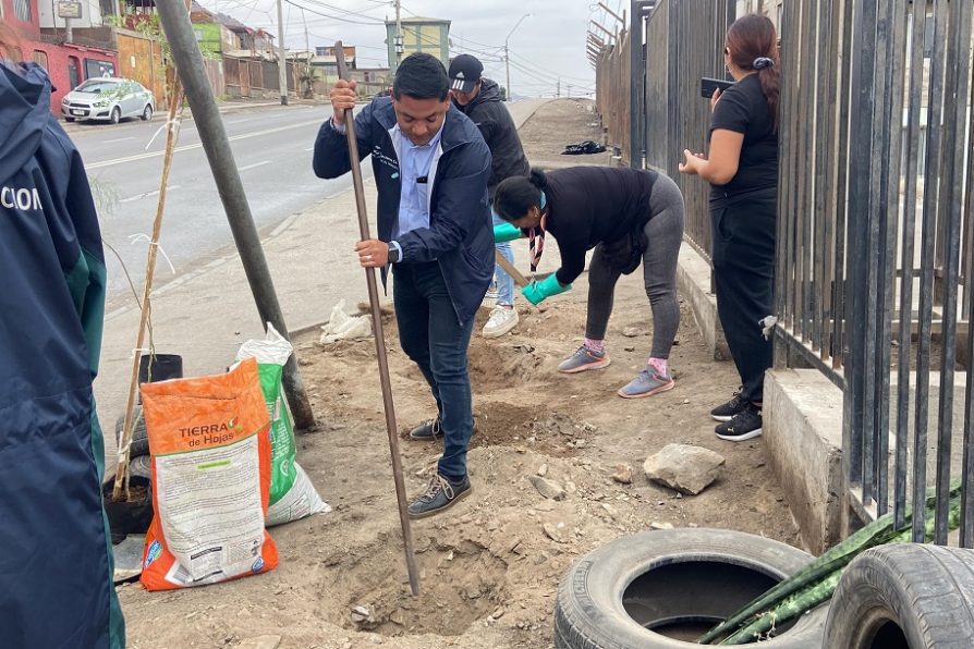 Con plantación de especies arbóreas, Delegación Presidencial lideró recuperación de espacios públicos en Feria Pantaleón Cortés