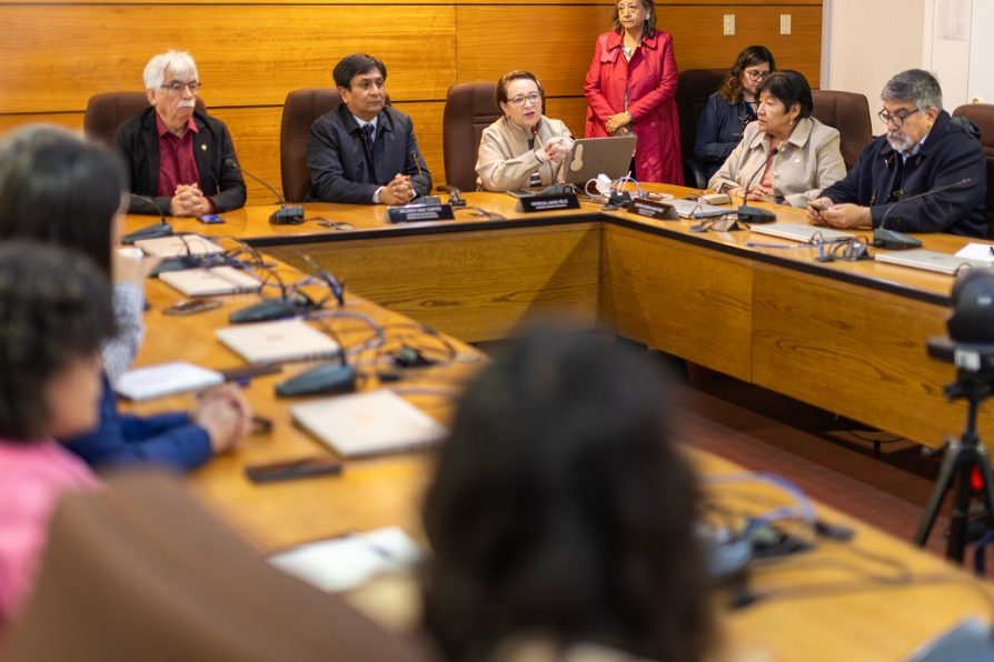 Delegada Karen Behrens destacó inversión sectorial realizada en la región durante el gobierno del Presidente Gabriel Boric