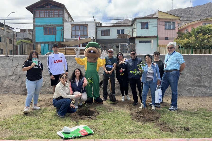 Feria de Servicios Públicos de Gobierno en Terreno concretó entrega de especies arbóreas para la junta de vecinos de la población Salitre Alto