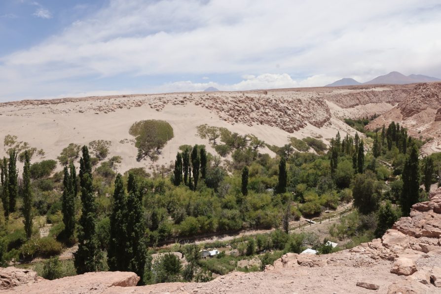 Comunidad atacameña de Toconao recibe los tres primeros Derechos de Aguas no extractivos a nivel nacional