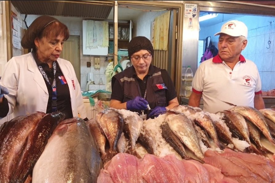 Semana Santa en Antofagasta: Salud anuncia turnos especiales de fiscalización