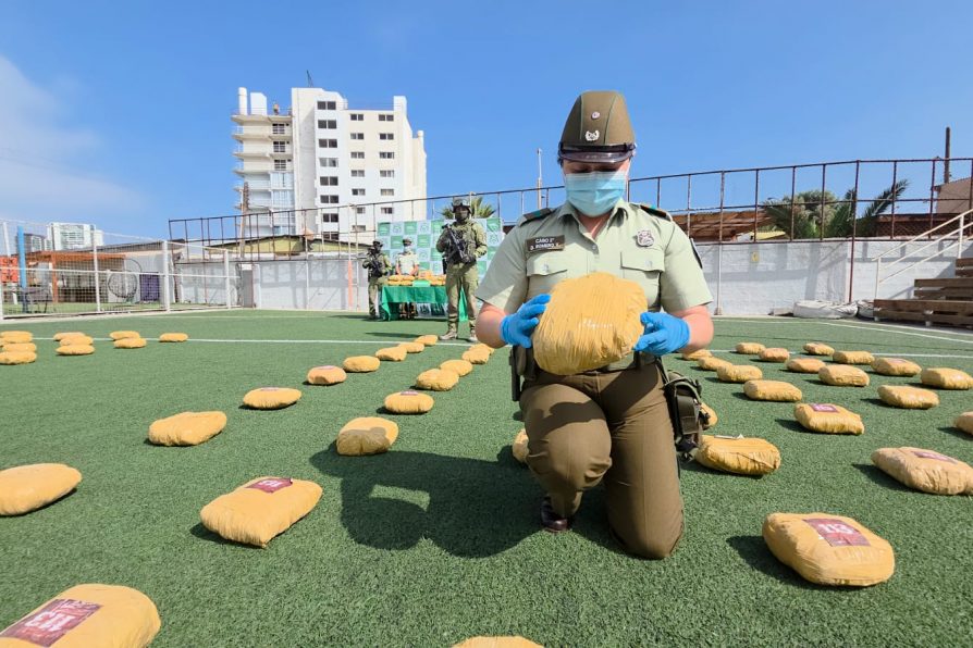 Investigación de Carabineros por microtráfico saca de circulación más de 200 kilos de marihuana